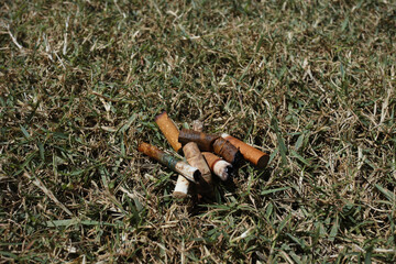 Discarded cigarette butts are often the cause of forest fires, trash 