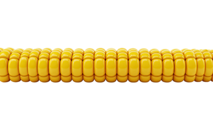 A detailed close-up of a vibrant yellow ear of corn against a stark black backdrop