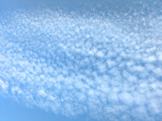 Pretty blue sky with bubble style white clouds floating atmosphere gentle skyscape