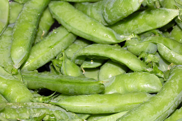 Close up of mange tout peas home grown and picked ready for cooking