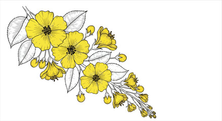 A Hand Drawn yellow Flower Branch Vector Illustration art with Line Art Leaves