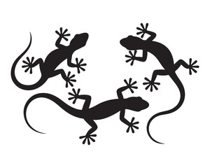 Fototapeta premium Three black geckos climbing and crawling in a group silhouette
