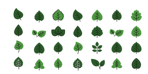 set of green leaves