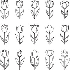 Tulip Black Line Editable Icons set