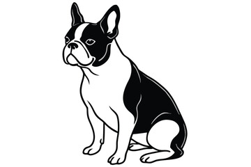 Isolated funny purebred french bulldog puppy sitting, vector illustration