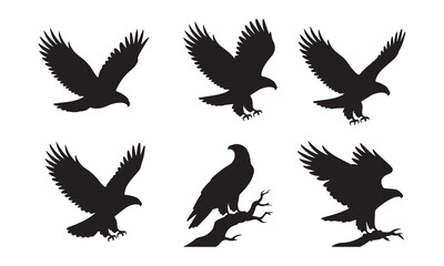 Fototapeta premium Collection of six distinct eagle silhouettes in various dynamic poses and perching on a branch