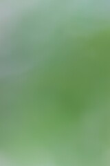 Abstract green and blue gradient blurred background