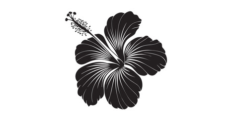Elegant black hibiscus flower with delicate line art detail silhouette