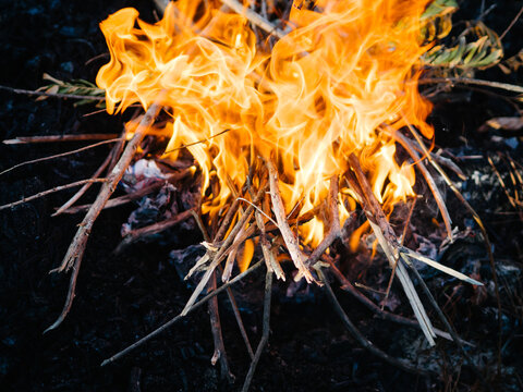 Campfire burning