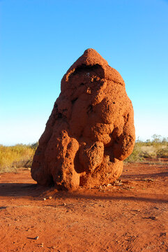 large anthill or termite mound in outback Australia
