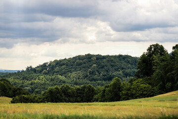 Wide Open Nature Fields and Forest Beneath the Sky