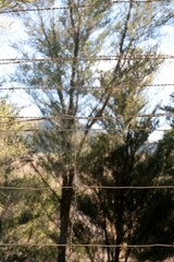 Close-Up of Barbed Wire Fence with Sharp Details