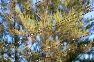 Close-Up of Barbed Wire Fence with Sharp Details