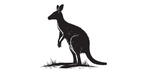 Detailed black and white illustration of a kangaroo standing in grass silhouette