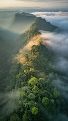Fototapeta premium Misty Mountains Embrace Lush Tropical Rainforest Peaks at Sunrise