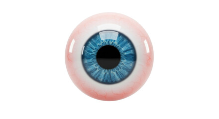 Human blue eyeball isolated on white background