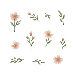 Set of watercolor floral elements on white background. hand painted pink flowers, green leaves and buds. perfect for wedding invitations, greeting cards, textile design, scrapbooking and branding