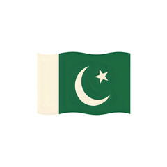 Pakistan Flag: A Detailed Look at the National Emblem