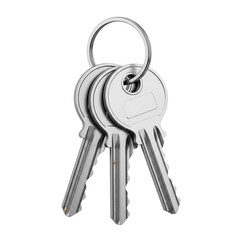keys on white background