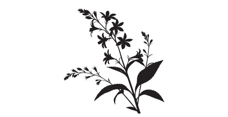Elegant black silhouette of a flowering plant with delicate petals and leaves