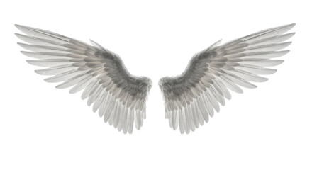 Pair of angel wings isolated PNG with Transparent Background