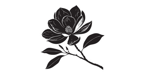 Elegant magnolia flower and leaves in detailed black and white silhouette