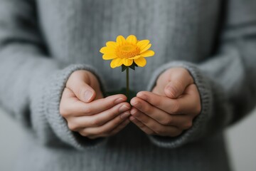 Hands gently holding a vibrant yellow flower with a sense of calm