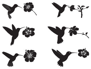 HUMMINGBIRD WITH HIBISCUS FLOWER SILHOUETTE
