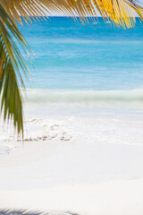 A beautiful and tranquil beach scene featuring gentle ocean waves and swaying palm leaves