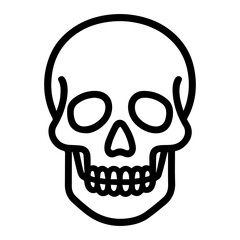 anatomical skull icon vector on white background
Human anatomical organ