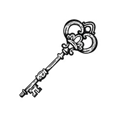 Hand-drawn vintage-style illustration created in engraved sketch outline technique. etching aesthetics, retro packaging, heritage branding, antique books, vintage-themed design projects.