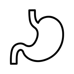 anatomical stomach icon vector on white background
Human anatomical organ