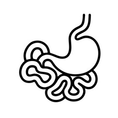 anatomical small intestine icon vector on white background
Human anatomical organ