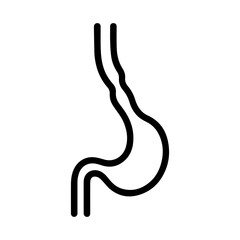 anatomical esophagus icon vector on white background
Human anatomical organ