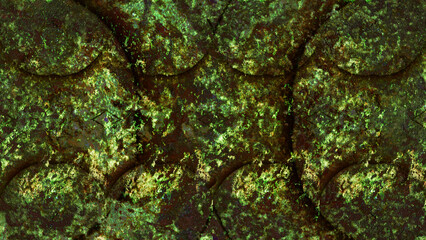tree bark texture