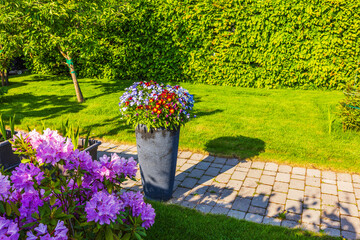 Garden view of with blooming flowers in tall pot and rhododendrons near walkway on sunny summer day. Sweden.