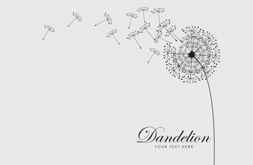 Vector illustration dandelion seed blowing in the wind. Dandelion on a white background.