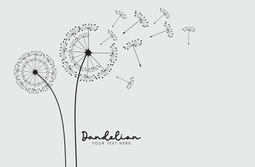 Vector illustration dandelion seed blowing in the wind. Dandelion on a white background.