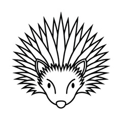 mad porcupine head in radiating quill outlines version one on white background Vector illustration