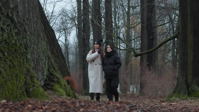A family exploring a winter park, a mother points out a wild squirrel to her son. The boy then tries to lure the animal, observing urban wildlife during a recreational nature walk.