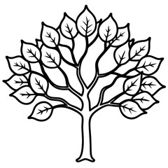 Obraz premium Fig Tree line art vector