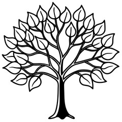 Obraz premium Fig Tree line art vector