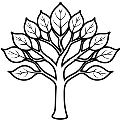 Fig Tree line art vector