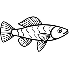 Guppy line art vector
