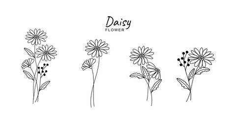 Daisy Line Art. Daisy outline Illustration. April Birth Month Flower. Daisy flower outline isolated on white. Hand painted line art botanical illustration.