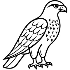 Hawk line art vector