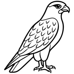 Hawk line art vector