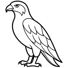 Obraz premium Hawk line art vector