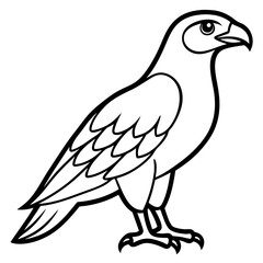 Fototapeta premium Hawk line art vector