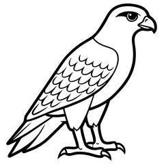 Hawk line art vector